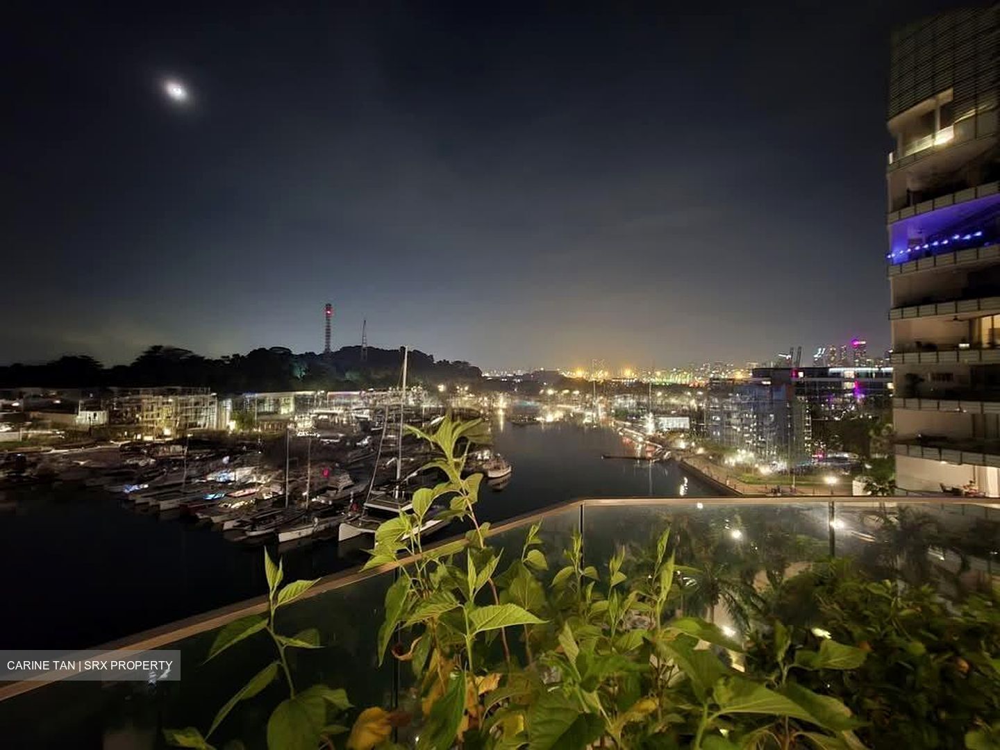 The Oceanfront @ Sentosa Cove (D4), Condominium #577437731